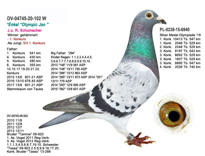 Gaby Vandenabeele rudy jason hattına dayanıyor oldukça vasıflı bir kuş altından 